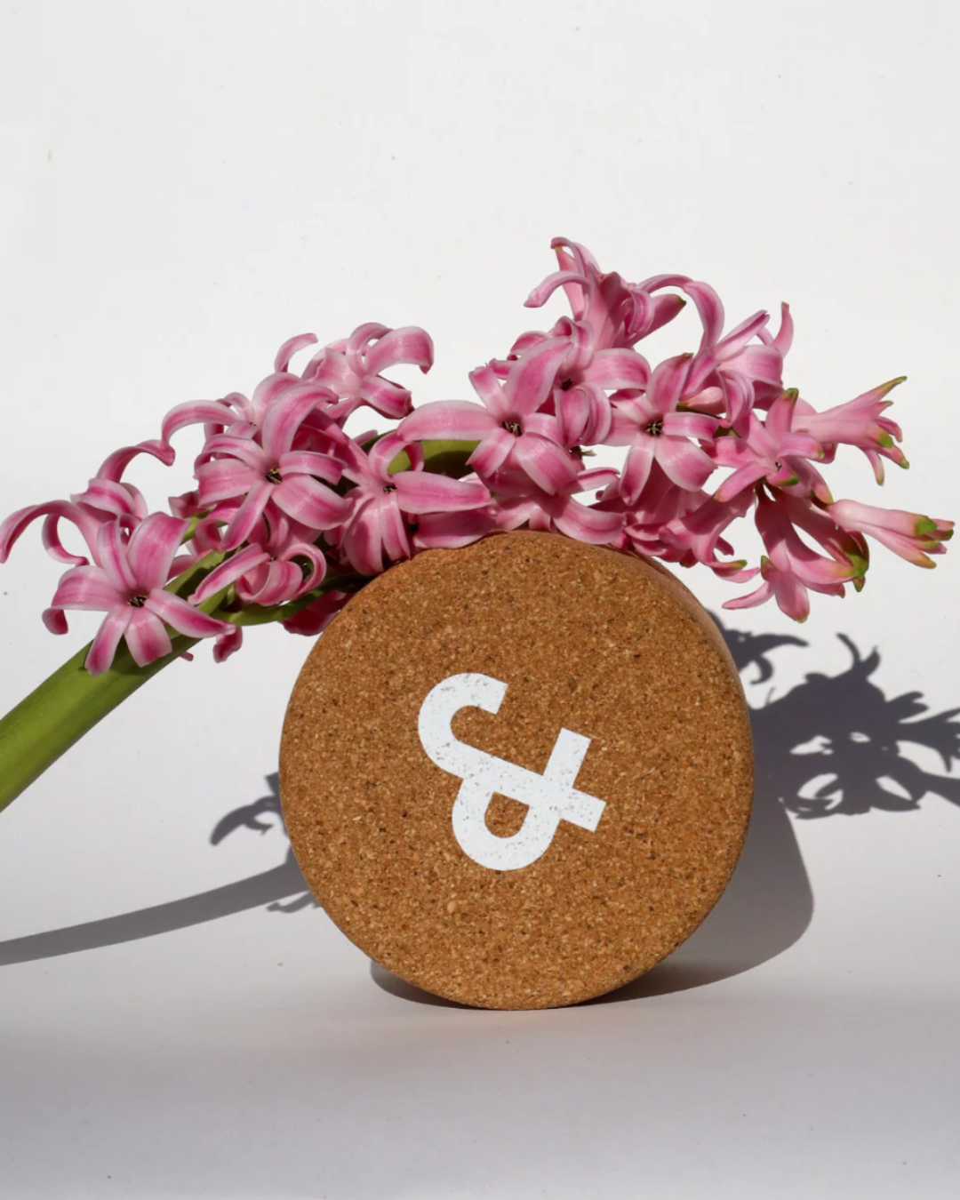 Boite liège pour shampoing Ju&n